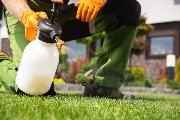 Best Mosquito Control Services  in East Rutherford, NJ