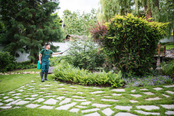 Best Insect Control  in East Rutherford, NJ