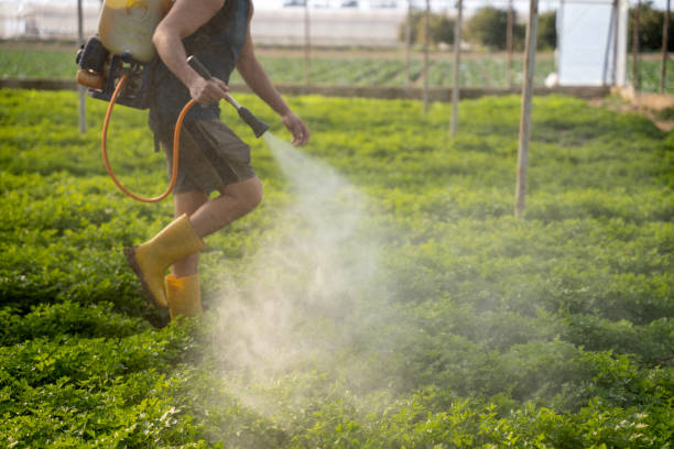 Best Affordable Pest Control Services  in East Rutherford, NJ