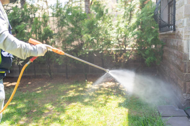 Best Local Pest Control Services  in East Rutherford, NJ