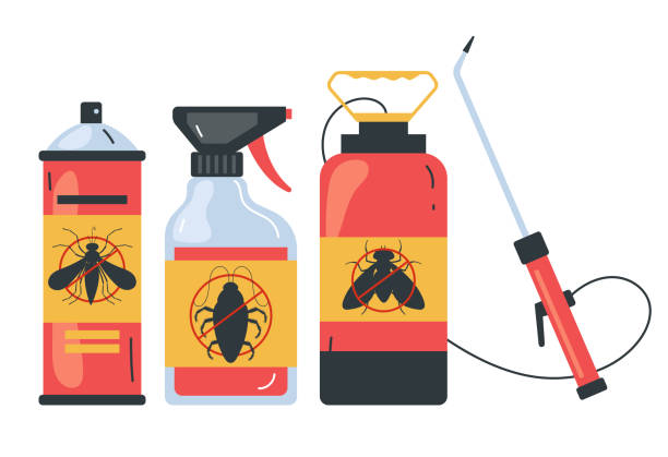 Best Spider Control Near Me  in East Rutherford, NJ