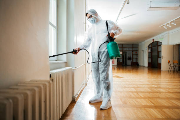 Best Pest Removal Services  in East Rutherford, NJ