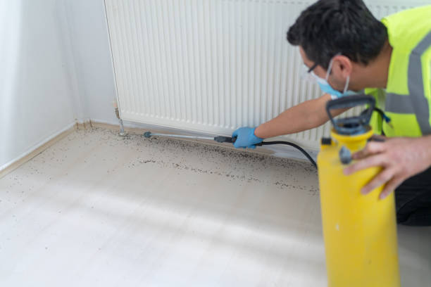 Best Residential Pest Control  in East Rutherford, NJ