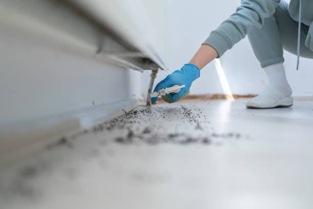 Trusted East Rutherford, NJ Pest Control Experts